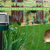 Tired of Rats Ruining Your Garden? A Simple Solution That Works Quietly