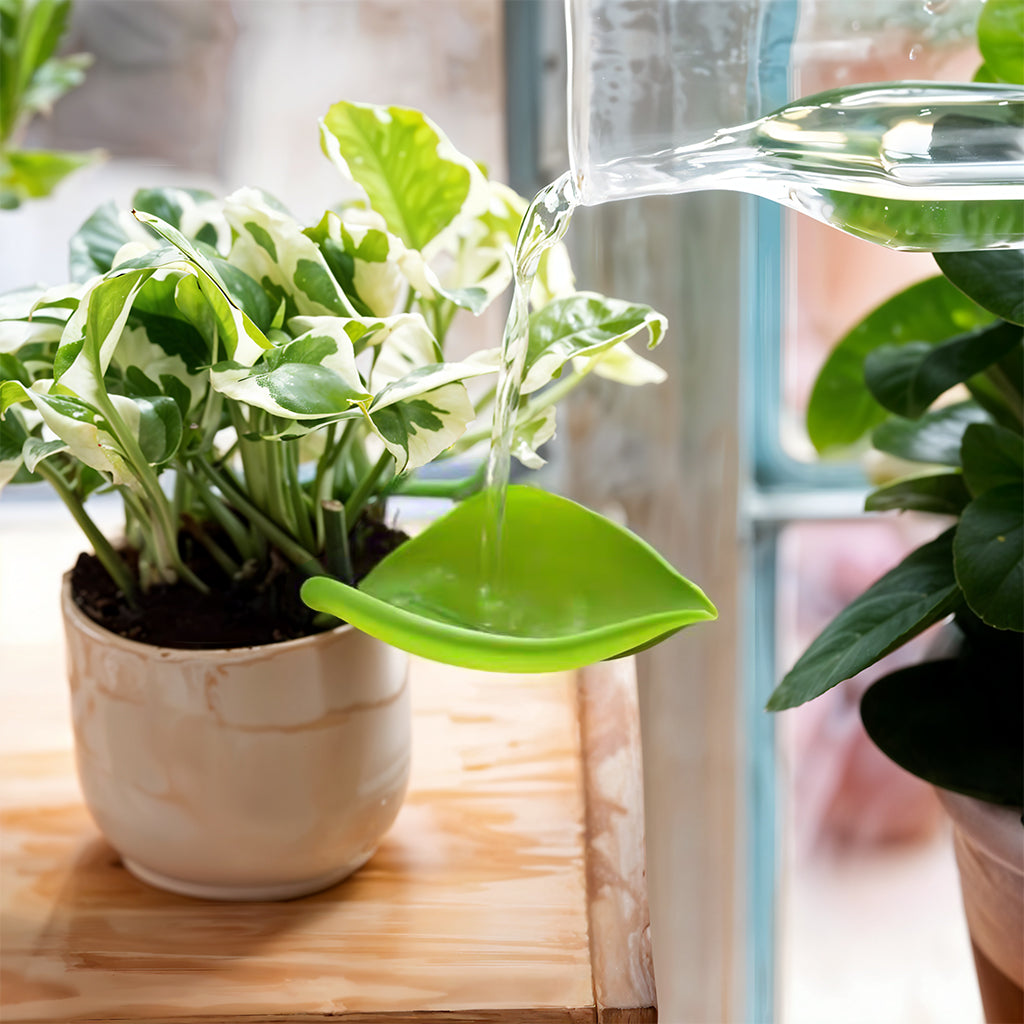 HASTHIP® 3Pcs Small Plant Pot Watering Tools Slow Watering Tool Creative Decorative Leaf Shape Watering Gentle Watering Channel Funnel for Indoor Plants Small Desk Plant Office Plant