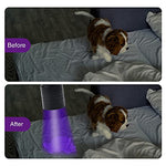 HASTHIP® UV Light Torch 12 LED UV Portable Flashlight Jade Appraisal Light Detector Lamp, Also Used for Leak, Pet Urine, Bed Bug, Scorpion, Hotel Inspection