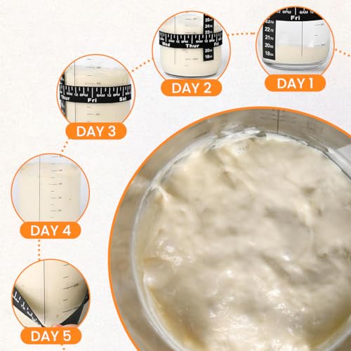 HASTHIP® 730ml Sourdough Starter Kit