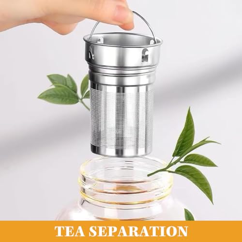 HASTHIP® HOOJO 2.5L Large Glass Water Bottle with Tea Infuser, Insulation Bag, Leakproof Flip Lid & Nozzle, Wide Mouth, Heat Resistant, Reusable Sports Water Jug for Gym Travel Cold Brew Tea