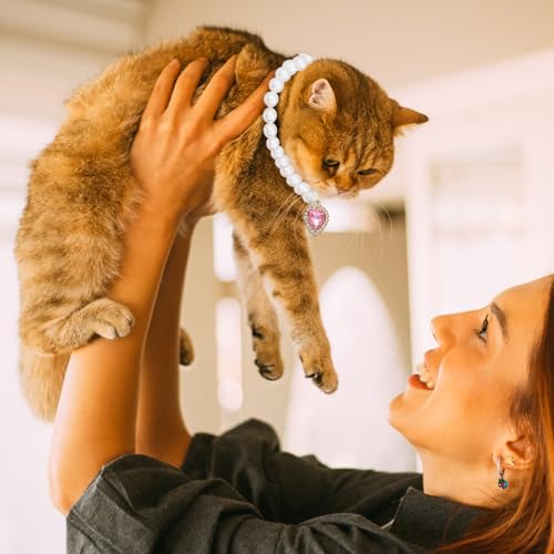 HASTHIP® Jewelry Cat Collar,Pet Collar Jewelry Necklace