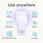 HASTHIP Fly Trap Light for Mosquito and Fruit Flies with 8 Sticky Cards and UVA Attractant