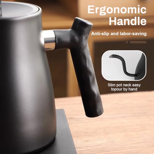 HASTHIP® Pour Over Gooseneck Coffee Kettle for Tea