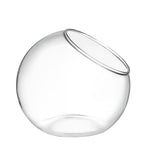 HASTHIP Glass Terrarium Container for DIY Mini Plant Display with Angled Opening | Clear Spherical Vase for Home Décor