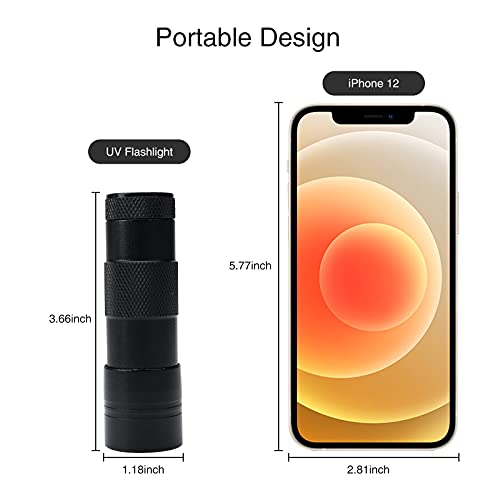 HASTHIP® UV Light Torch 12 LED UV Portable Flashlight Jade Appraisal Light Detector Lamp, Also Used for Leak, Pet Urine, Bed Bug, Scorpion, Hotel Inspection