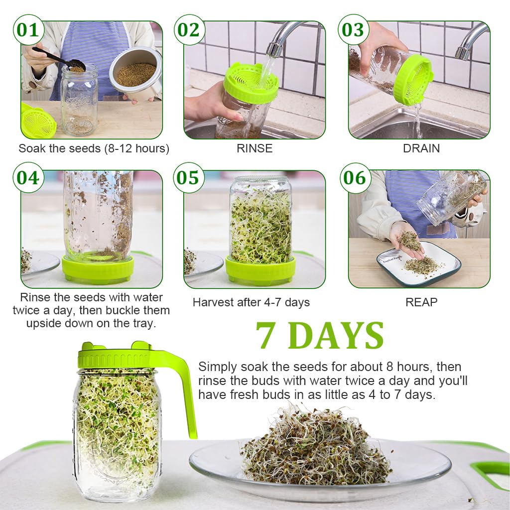 HASTHIP 32Oz Glass Sprout Maker Jar with Ventilated Mesh Lid, PP Handle and 86mm Mason Jar Fit