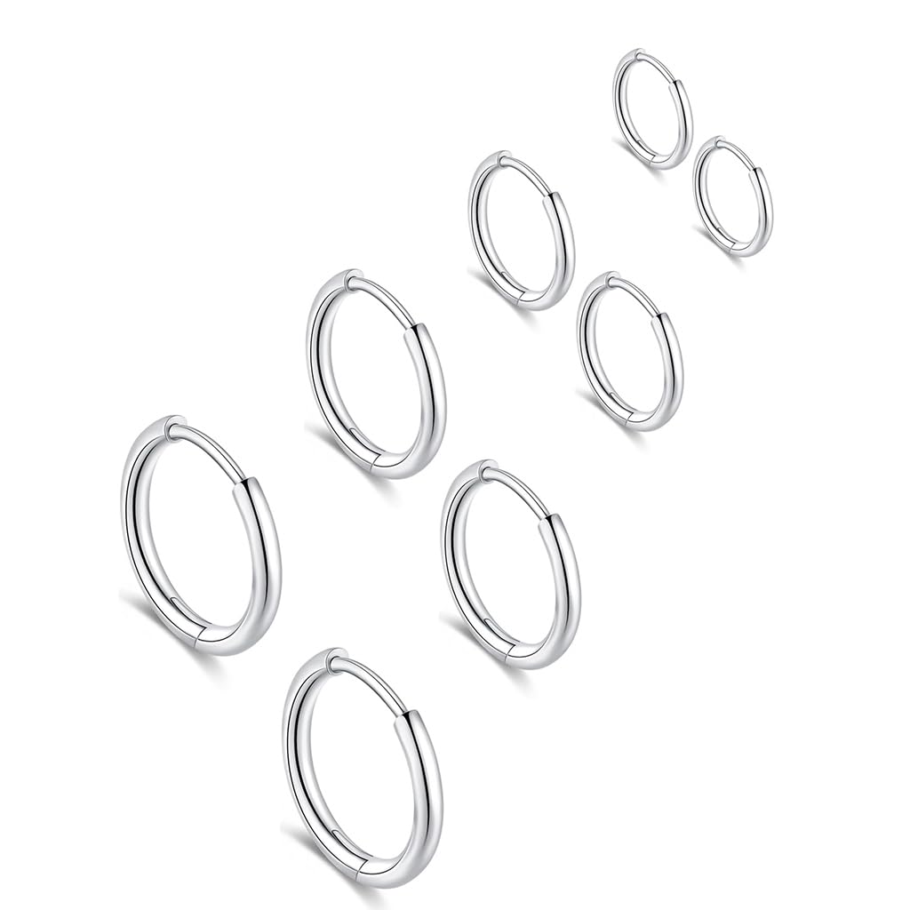 HASTHIP® Aretes de Aro de Acero Inoxidable para Mujer y Hombre,4 Pares Pendientes Pequeños 8mm 10mm 12mm 14mm,Hipoalergénicos Moda Clásica para Fiesta Diario y Regalo - Color Plata