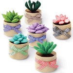 HASTHIP® BrandName 6Pcs DIY Artificial Succulent Plants Kit, Mini Sewing Craft Set with Tools & Tutorial Manual, Handmade Desk Decor, Adult Gift, Home Office Accessories, Not Included Storage Box