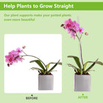 HASTHIP Plant Support Sticks for Pots and Planters with 10 Claw Clips 15.75 in Clear Acrylic | Upright Growth