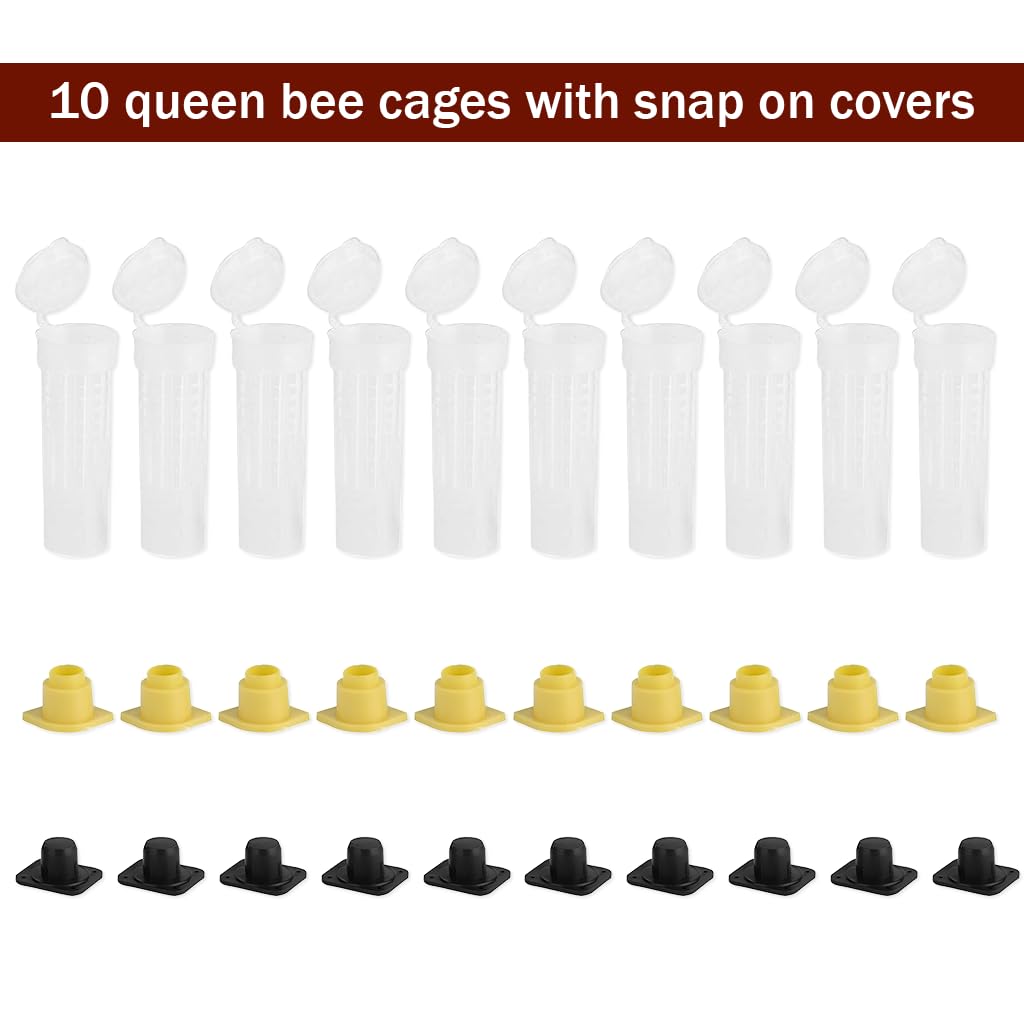 HASTHIP Queen Bee Cages 20PCS for Hive Introduction with Snap-On Lids and Candy Plug 2.6cm x 7.8cm