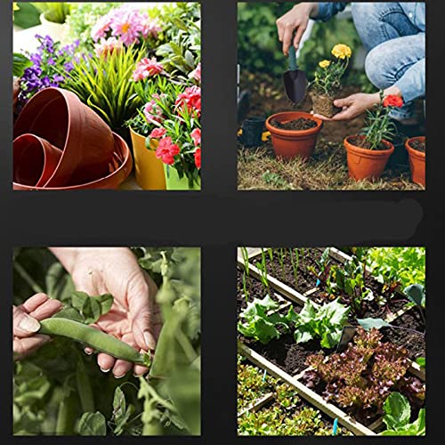 HASTHIP Gardening Tools Kit for Home with 30 pcs Stainless Steel Heads and Ergonomic Grip