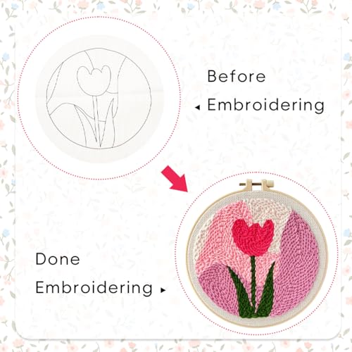 HASTHIP® Kit de arte con aguja perforadora para principiantes: Noche estrellada