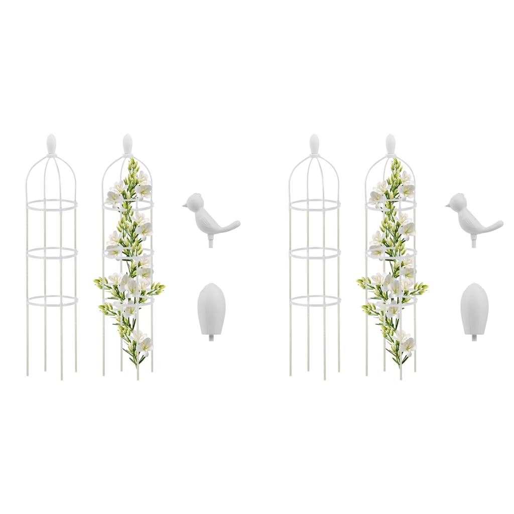 HASTHIP Garden Plant Support for Climbers with Obelisk Trellis 120cm | Decorative Bird Tip