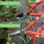 HASTHIP® Garden Pruning Shears 2-Piece Set - 6" Bypass Shears & 6.7" Straight Scissors with Safety Lock, High Carbon Steel - Anti-Rust for Flowers, Bonsai, House Plants, Easy Carry