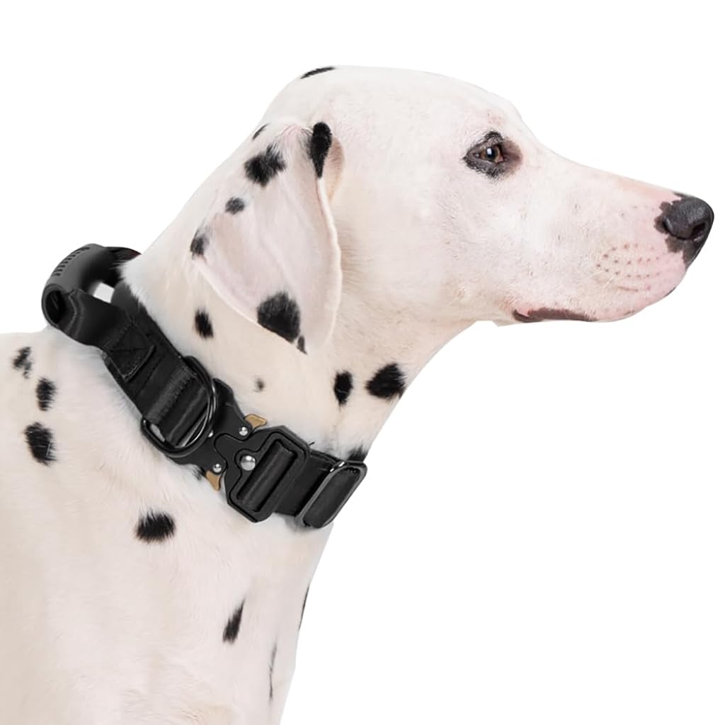 HASTHIP® Tactical Dog Collar,1.5 Inch Wide Heavy Duty Military Training Collar with Handle,Adjustable Thick Nylon with Metal Quick Release Buckle for Medium Large Dogs (Black XL)