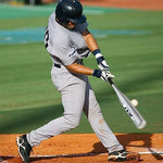 HASTHIP® 32inch Baseball Bat with Storage Bag