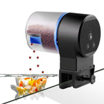 HASTHIP® Alimentador Automático de Peces para Acuario 50g, Dispensador Programable con Temporizador 12/24H, Sin Atascos, Control de Porciones, Montaje en Pared, Funcionamiento por Batería
