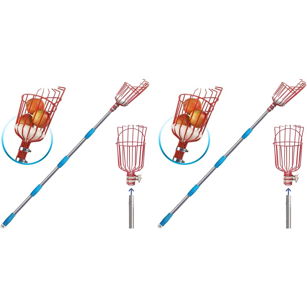 HASTHIP Fruit Picker for Coconut Mango and More with 1.9m Telescopic Pole and 7 Claw Basket