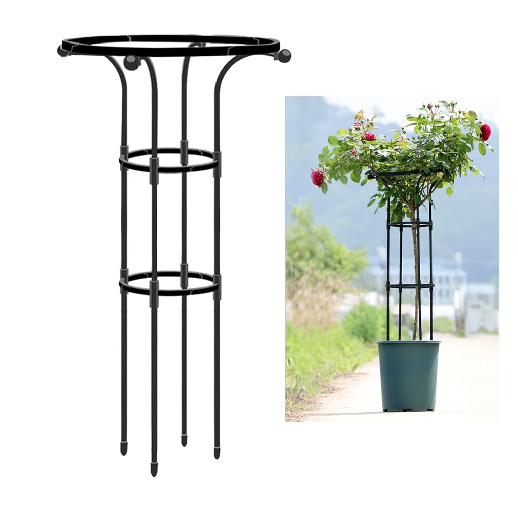 HASTHIP Metal Garden Trellis for Climbing Plants with Hollow Roof Design 95cm Height | Rust Proof Indoors and Outdoors