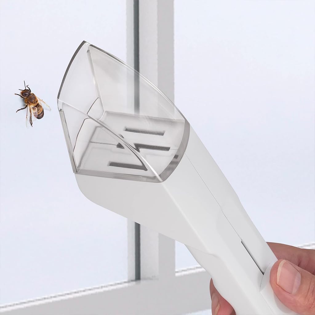 HASTHIP Humane Insect Catcher Tool for Outdoor Exploration with Quick Release Button | Fun Learning for Kids and Adults