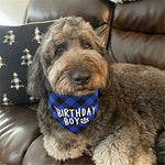 HASTHIP® Dog Gifts Hat for Birthday, Cute Dog Birthday Party Hat Dogs Bandana Birthday Party Supplies Set, Dog Bandana Square Scarf and Doggie Birthday Party Hat