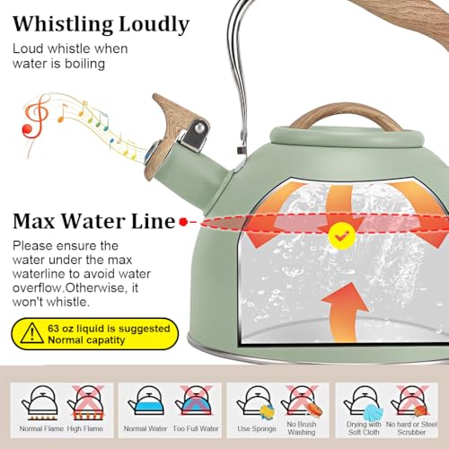 HASTHIP® 3L Stainless Steel Tea Kettle, Whistling Hot Water Pot for Stove and Induction, Anti-Scald Handle, Coffee & Tea Maker for Kitchen, Camping, RV