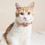 HASTHIP® Cat Belt, Cat Collar with Bell, Pink Flower Cat Collar Soft & Comfortable, Cute Pet Collar Silver Cat Bell Collar