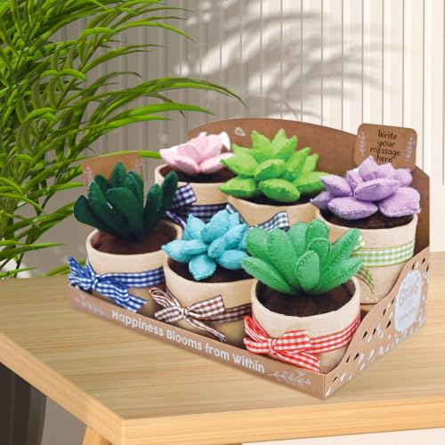 HASTHIP® BrandName 6Pcs DIY Artificial Succulent Plants Kit, Mini Sewing Craft Set with Tools & Tutorial Manual, Handmade Desk Decor, Adult Gift, Home Office Accessories, Not Included Storage Box