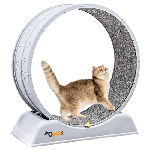 HASTHIP® Cat Wheel Exerciser Cat Treadmill Cat Wheels for Indoor Cats Exercise Wheel