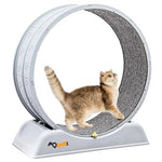 HASTHIP® Cat Wheel Exerciser Cat Treadmill Cat Wheels for Indoor Cats Exercise Wheel