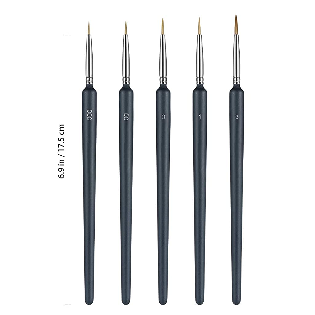 HASTHIP Painting Brushes Set for Acrylic Watercolour and Oil | 5 PCS with Easy Grip Handles