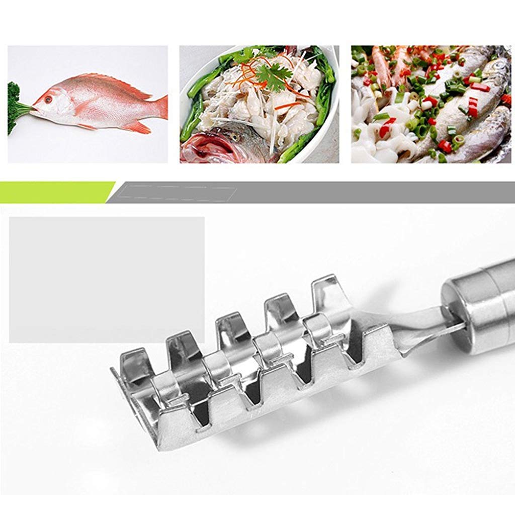 HASTHIP® 4PCS Stainless Steel Living Fish Scale Shaver Scraper for Fast Cleaning Skin