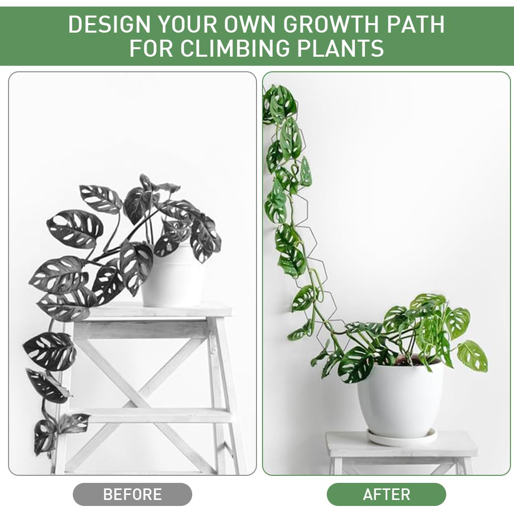 HASTHIP Garden Chain Trellis for Climbing Plants featuring 36PCS 228cm Hexagon Metal Design | Indoor Outdoor Vine Support