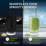 HASTHIP Seed Sprouting Jar Kit for Homemade Bean Sprouts featuring 32oz Glass Jar with Mesh Lid and Stainless Steel Stand | Includes Light Shield Sleeve