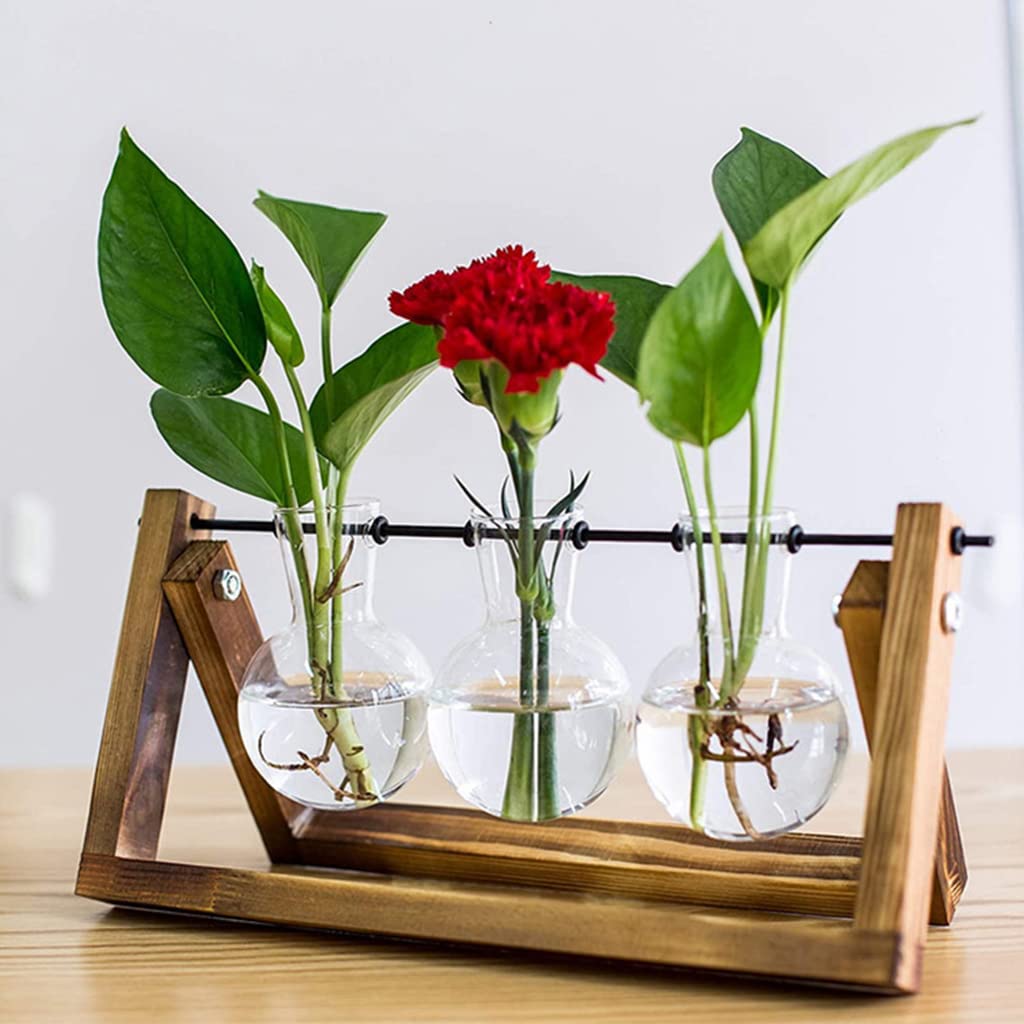 HASTHIP Hydroponics Glass Planter for Desktop Decor with Wooden Stand 3Pcs Set | 5.5H x 11W x 4D