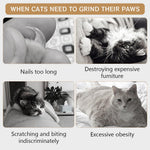 HASTHIP® Cat Wall Scratcher - Sisal Scratch Pad for Cats - Wall Scratching Post with Traceless Stickers