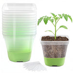 HASTHIP® 12 Clear Seedling Starter Pots with Silicone Bottom, Reusable Transparent Germination Pots with Drainage Holes & 12 Plant Labels, Easy-Release Nursery Cups for Herbs, Flowers & Vegetable Seed