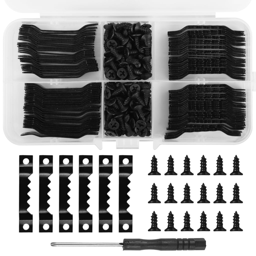 HASTHIP Picture Hanging Kit for Wall Décor with 100 Sawtooth Hangers & 200 Screws | Metal Frame Mounting Set