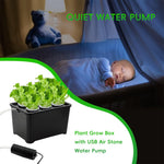 HASTHIP Hydroponic System Kit for Indoor Gardening with 6 Compartments and USB Air Pump | Black PP Grow Box