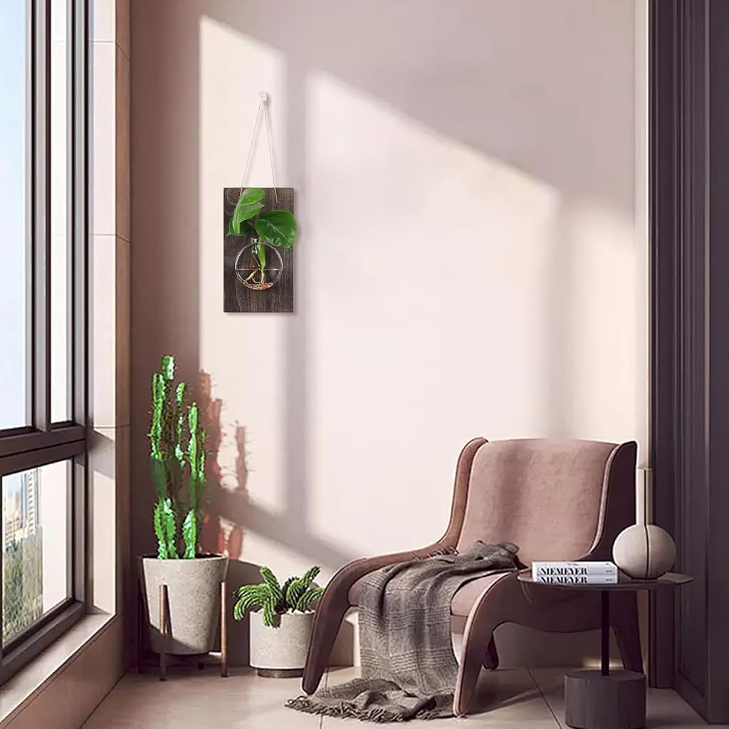HASTHIP Glass Hydroponic Kit for Home Decor with Wooden Board and Hemp Rope | 18x33cm Wall Hanging Planter