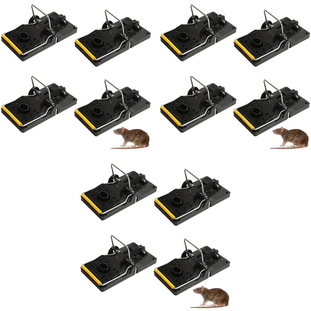 HASTHIP Rat Traps for House and Garden featuring Simple Bait Mechanism | 12PCS Reusable