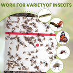 HASTHIP Sticky Trap Roll for Indoor and Outdoor Insect Control with Extra Sticky 10m Roll | Safe Non Toxic Fly Catcher for Garden and Home