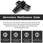 HASTHIP Harmonica for Beginners featuring 10 Hole 20 Tone C Key with Titanium Copper Core | Black