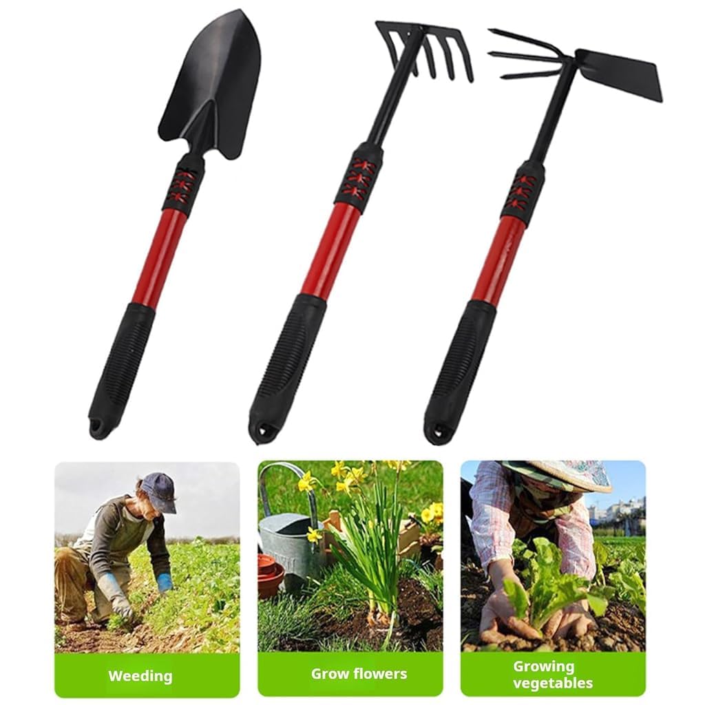 HASTHIP Gardening Tools Set 3 Pcs for Digging and Weeding with Dual Head Hoe Fork | Steel and Rubberized Anti Slip Handle
