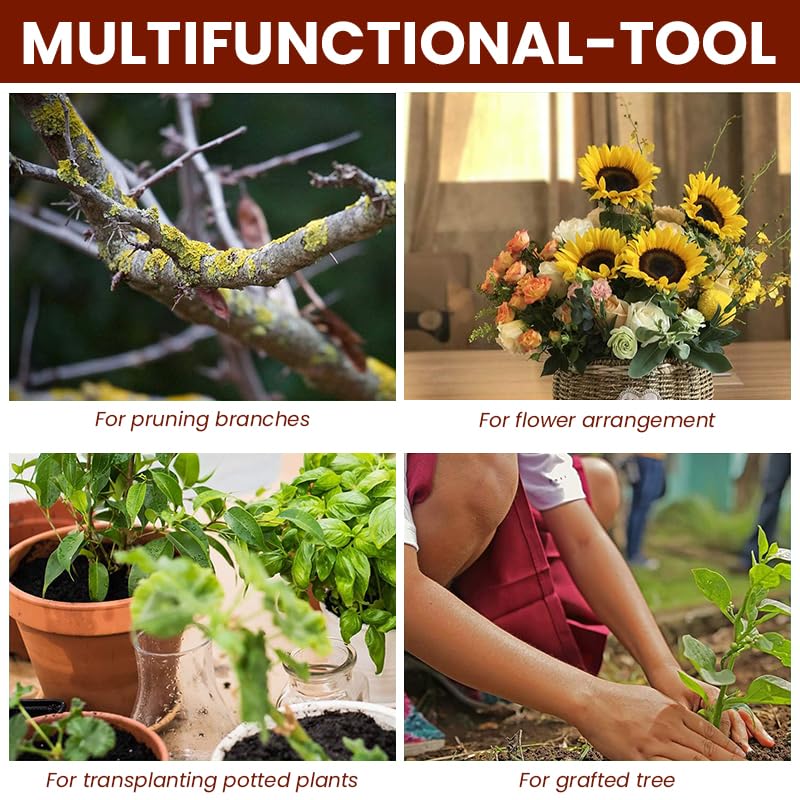 HASTHIP Grafting Cutter Tool for Fruit Trees and Flowers with 7.56 in Folding Design featuring Curved Steel Blade and Anti Slip Wooden Handle | Includes 1 Roll Grafting Tape