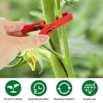 HASTHIP Plant Clips for Stems and Climbing Plants 20Pcs 3.5 in featuring Snap-On Design | Reusable Garden Vine Support