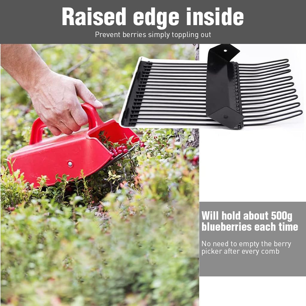 HASTHIP® Metallic Berry Picker Comb & Rake - Plastic Blueberry Picker Scoop With Ergonomic Handl - Fruit Picker Tool - Blueberry Rake Scoop for Orchard - Easier Berry Picking for Blackberries & Cherry