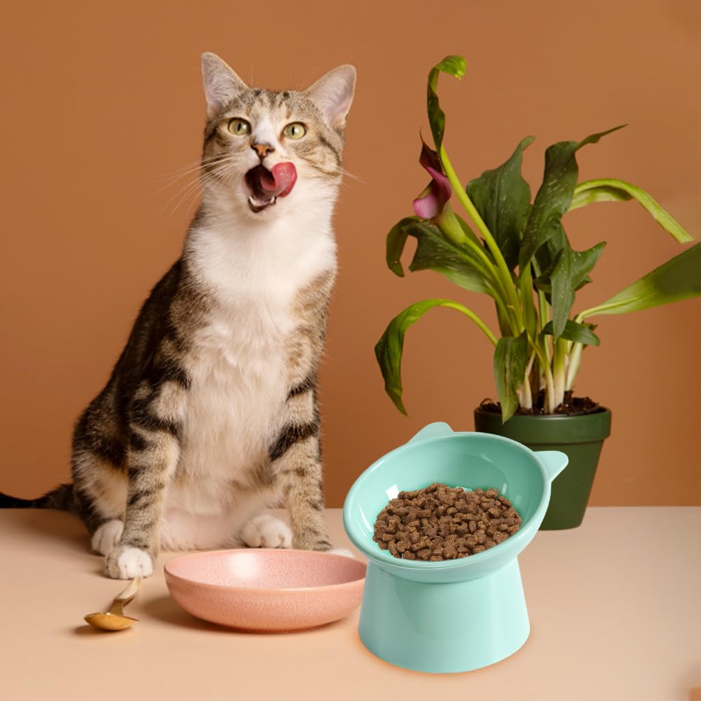 HASTHIP® Cat Bowl, Elevated Cat Food Bowls Shallow Cat Feeding Bowl - Thickened PP Fabric, Anti-Tip 15° Tilt, Easy Clean Puppy Bowl