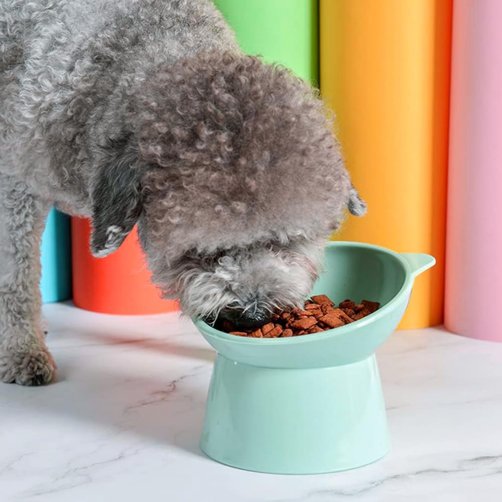 HASTHIP® Cat Bowl, Elevated Cat Food Bowls Shallow Cat Feeding Bowl - Thickened PP Fabric, Anti-Tip 15° Tilt, Easy Clean Puppy Bowl